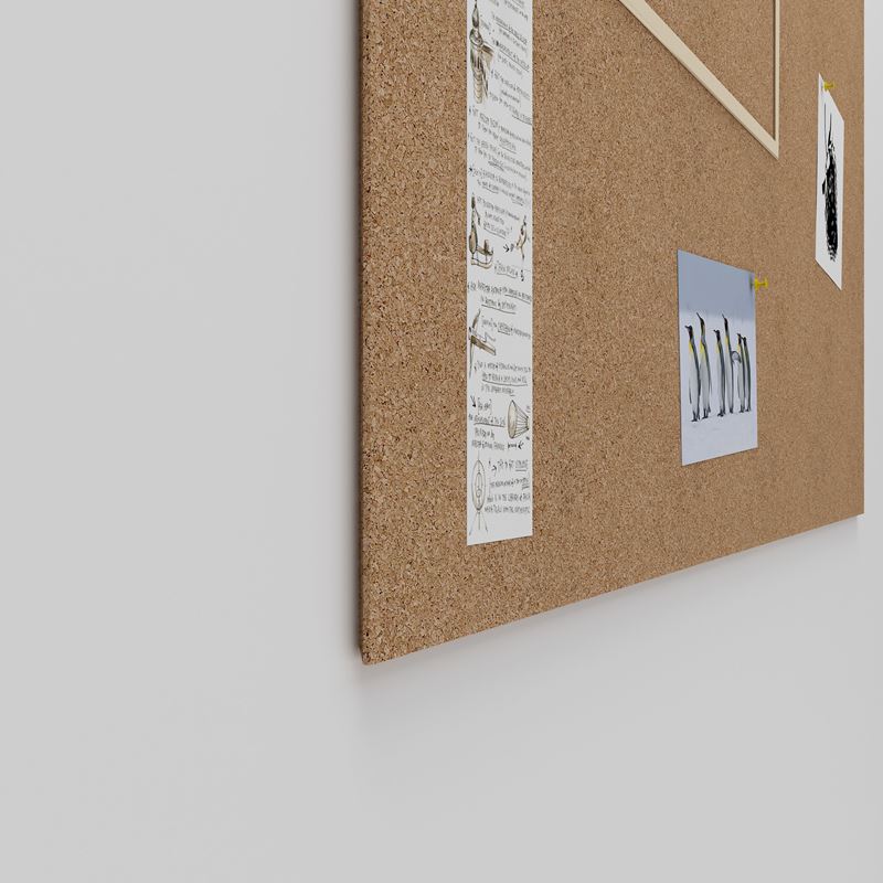 Bulletin board Air Cork, 1990x1190