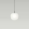 Pendant lamp Rime with glass screen D25, black cord