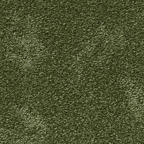 Soft rug Lux 170x240 4G94 green